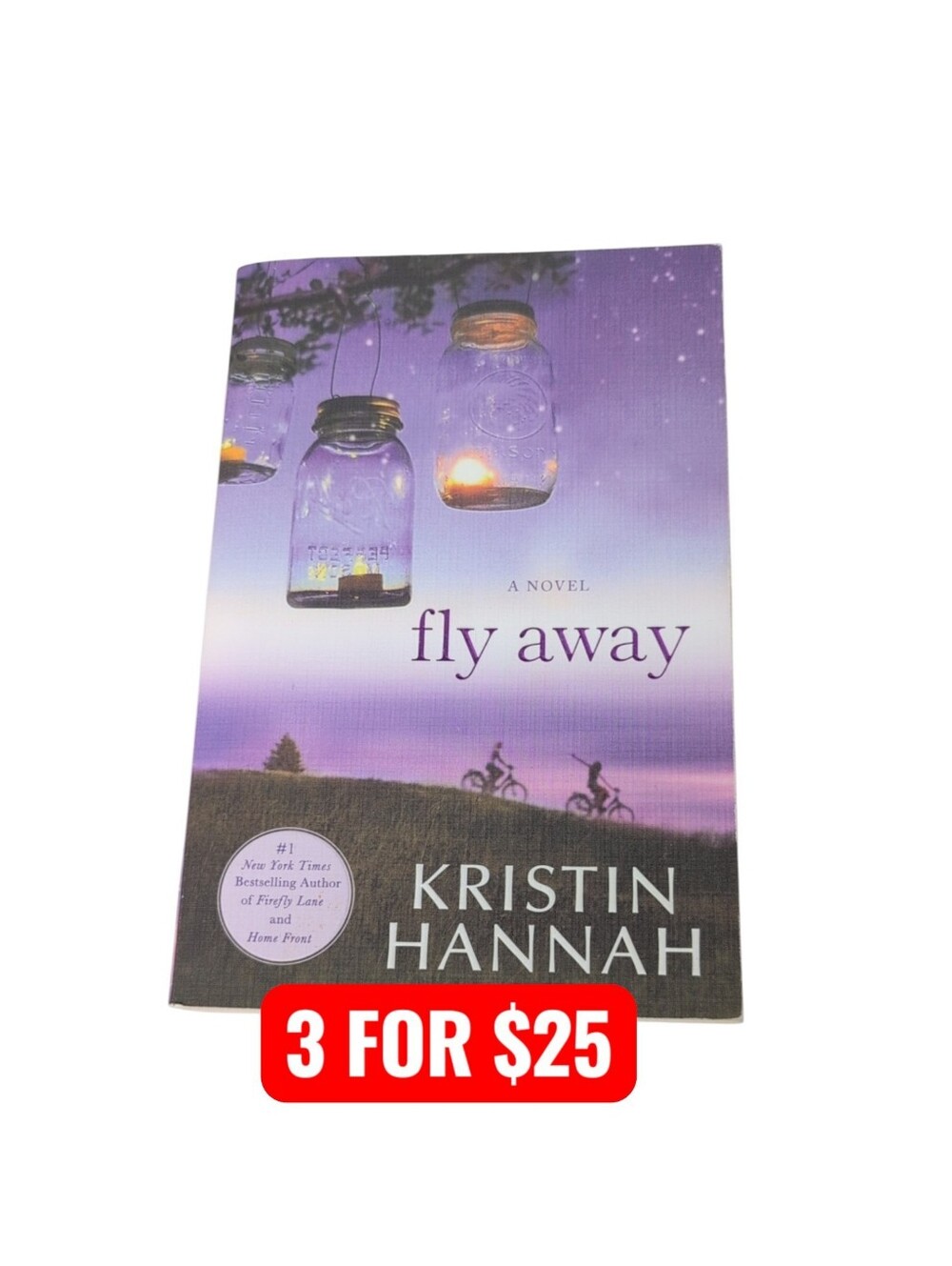 Fly Away by Kristin Hannah Paperback